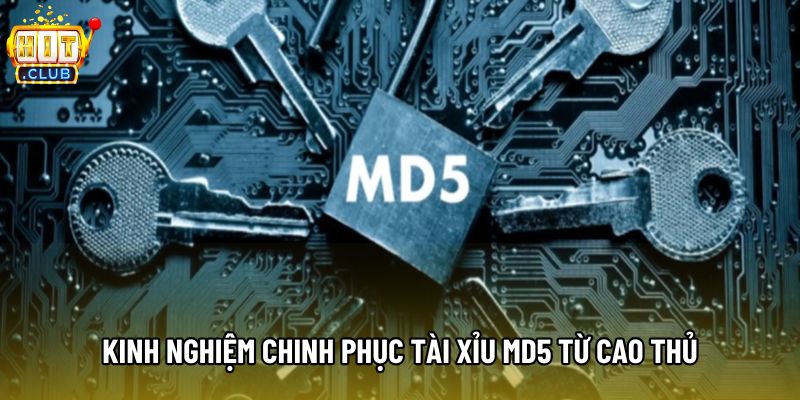 Kinh nghiệm chinh phục tài xỉu MD5 từ cao thủ